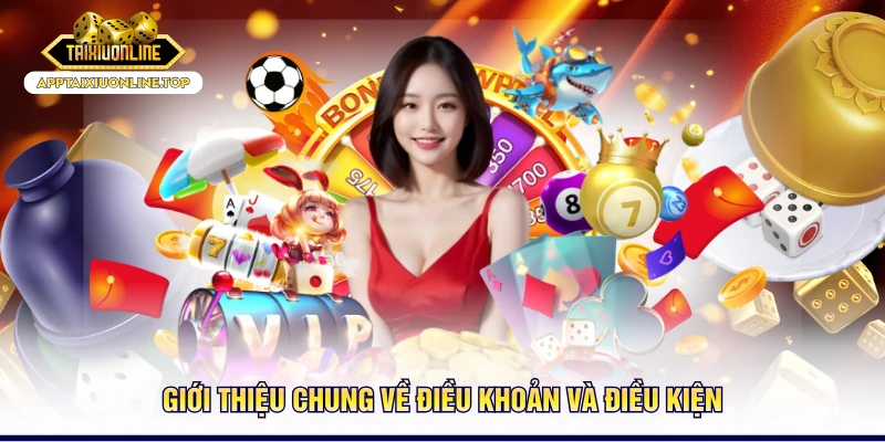 Giới thiệu chung về điều khoản và điều kiện